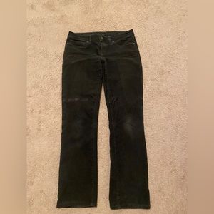 Patagonia corduroy pants